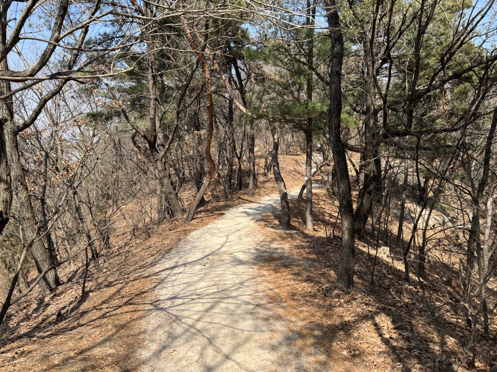 20260321 041320833 iOS