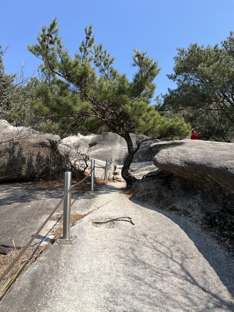 20260321 042153525 iOS