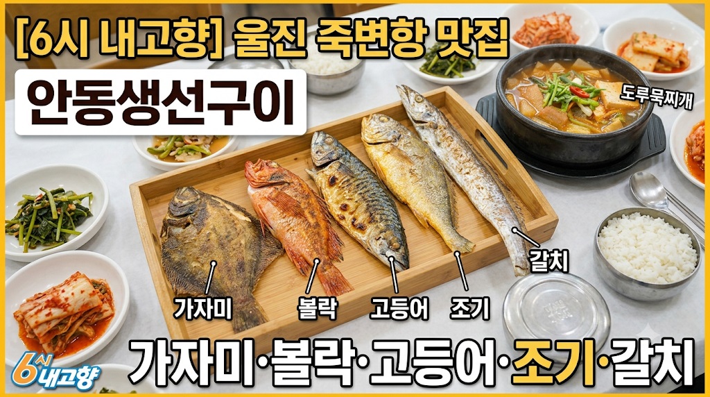 6시내고향 260729