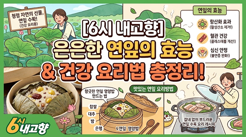 6시내고향 260730